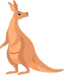 Cute Brown Kangaroo Marsupial Character with Pouch in Standing Pose © topvectors