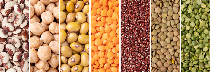 Collage of assorted legumes. Uncooked beans, lentils, peas and chickpeas in panoramic format