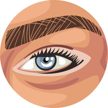 Human Eye with Grey Iris and Eyelashes as Sense Organ with Brow Closeup View