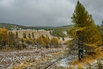Russia. The South of Western Siberia, the Altai Mountains. The autumn passes of the Chui Tract are...