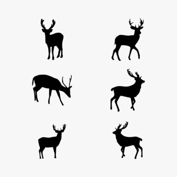 Deer Silhouette Set, Vector Silhouette