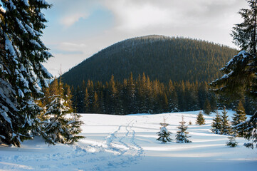 clearing in the winter mountains on a sunny day for outdoor activities and walks