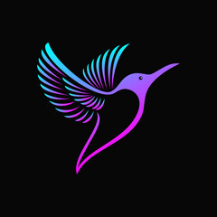 hummingbird Logo Design Vector template