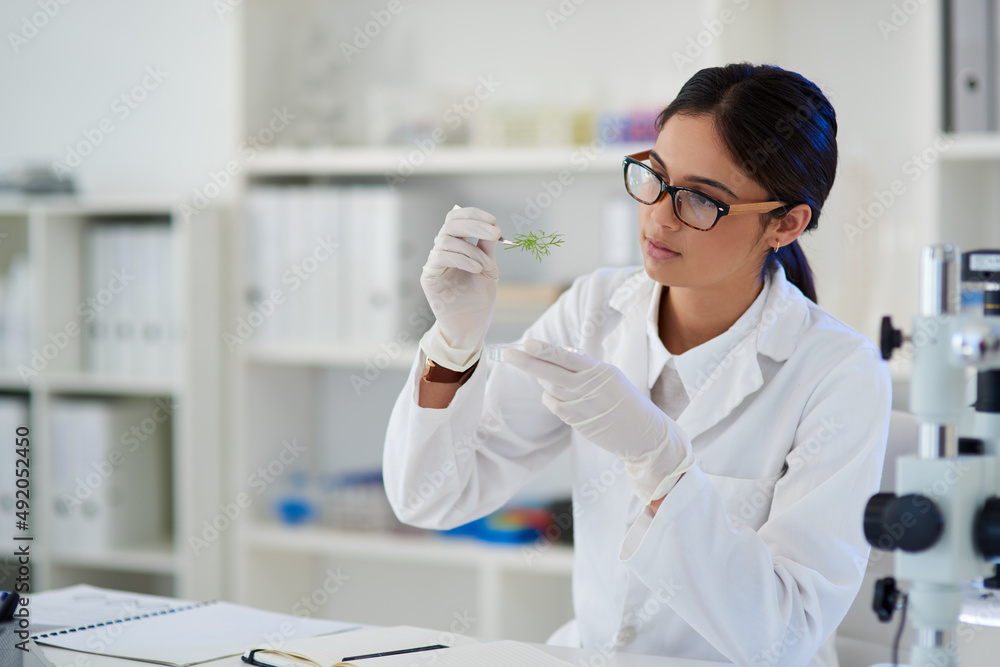 Poster science is a discipline for the curious. shot of a young scientist working with plant samples in a l