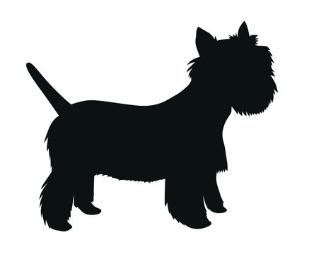 recommend clip art: West Highland terrier  black silhouette of a standing dog