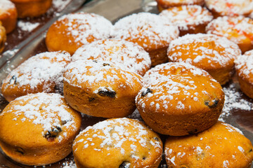 Ready baked muffins with raisins sprinkled with powdered sugar on a tray close-up.