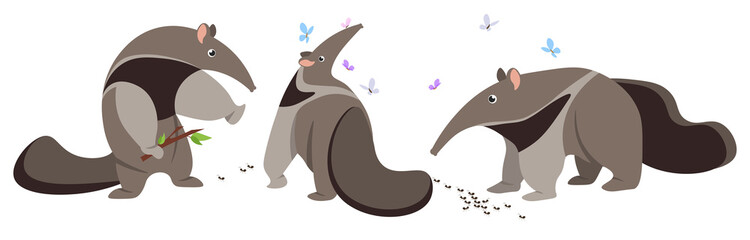 Vector illustration cute and beautiful ant-eater on white background. Charming character in different poses with formidable, dreams and walks, ants and butterflies in cartoon style.