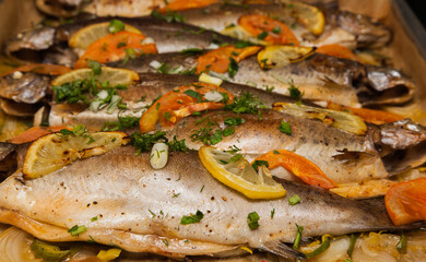 Baked trout fish with slices of lemon, tomatoes, onions, dill and parsley in spices on a tray close-up.