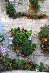 Garden in Dubrovnik, Croatia