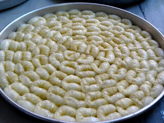 Ready to bake baklavas. Baklava is a traditional Middle Eastern dessert mostly pistachio, walnut or almond flavored.                     