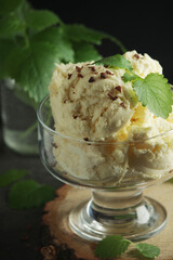 Ice cream scoops in an ice cream bowl