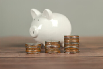 Piggy bank with the coins arranged in an orderly manner. Ideas to collect money for borrowing to buy a home in future, real estate. Copy space for text. Save money concept.