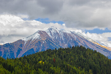 Green forests of Arkhyz