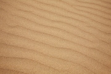 Fototapeta na wymiar Ripples in beach sand