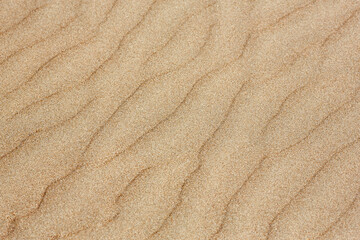 Fototapeta na wymiar Background texture of sand dune