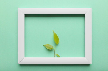 Green leaf in a frame