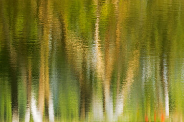 Beautiful reflection of trees on water, green environmental background, horizontal image, artistic colored impression. Kolkata, Calcuatta, West Bengal, India