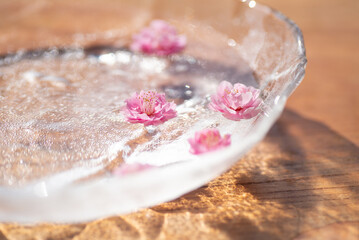 水に浮かぶ梅の花