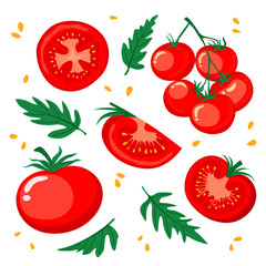 Set of tomatoes with whole vegetables, a bunch of tomatoes, half, seeds and leaves. Vector illustration in a flat style on a white background.