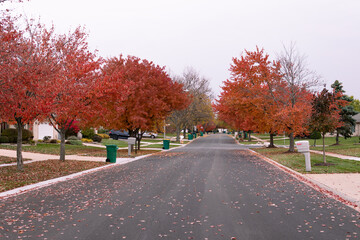 Beautiful Neighborhood Street with Colorful Trees and Homes during Autumn in Lemont Illinois