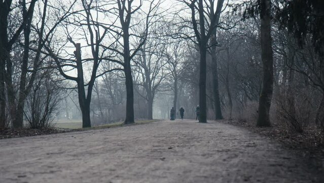 People going for a walk in Berlin public park Hasenheide on a cold and hazy winter day