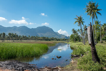 Fototapeta na wymiar Landscape in rural Thailand south of Hua Hin