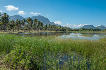Landscape in rural Thailand south of Hua Hin