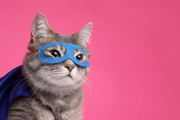 Adorable cat in blue superhero cape and mask on pink background, space for text