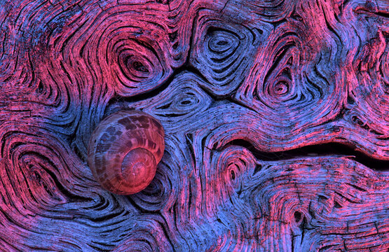 Background of abstract colorful ornament