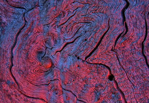 Background of abstract colorful ornament