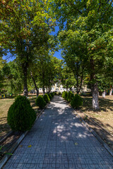 Walkway in a park with a tunnel of trees and bushes