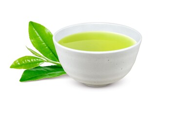 かりがね茶 茎茶 湯呑み イラスト リアル 
