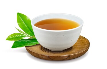 ほうじ茶 焙じ茶 湯呑み イラスト リアル 