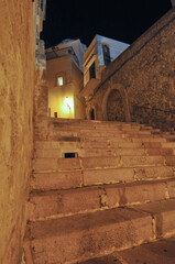 View of the city of Vieste at night