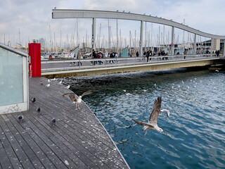 Rambla de mar port in Barcelona