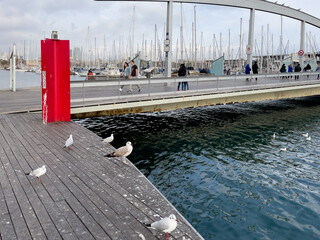 Rambla de mar port in Barcelona