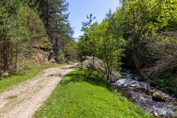 Obraz premium Path through the forrest near Fotinovo village in Bulgaria