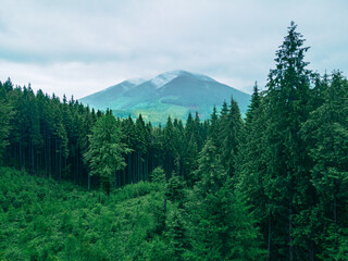 landscape scenic panoramic view of carpathian mountains