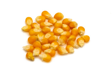corn isolated on white, selective focus