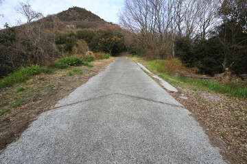 香川県観音寺市　高屋神社　参道