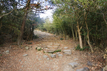 Fototapeta premium 香川県観音寺市 高屋神社 参道