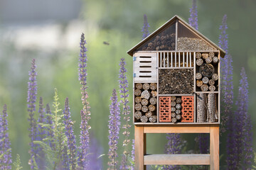 Insektenhotel vor Hintergrundmotiv Lavendel