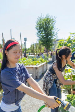 Young woman with Down syndrome gardening with family in sunny community garden