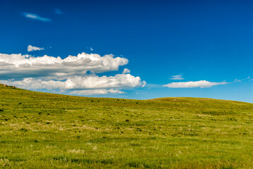 Bright sunny rural fields with a few clouds in the sky in the prairies during spring.