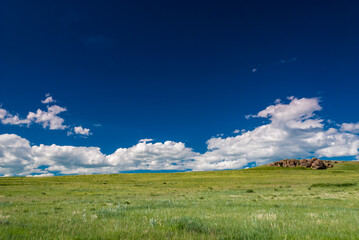 Bright sunny rural fields with a few clouds in the sky in the prairies during spring.
