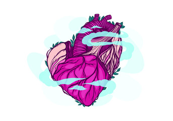 Human heart, internal organ, health, vector graphics, illustration