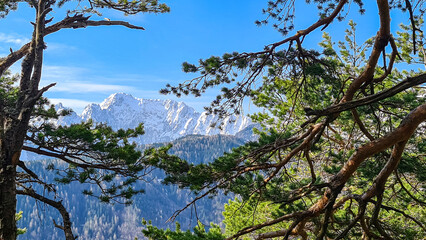 Scenic view of snow capped mountain peaks of Karawanks on the way to Sinacher Gupf in Carinthia, Austria. Mount Wertatscha is visible through dense forest in early spring. Rosental on a sunny day.Hike