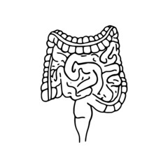 Intestines doodle vector illustration. Digestive system line icon isolated on white background