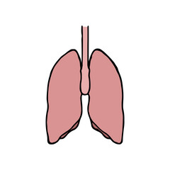 Lungs doodle vector illustration. Human internal organ cartoon icon isolated on white background