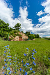 Wine cellars and vineyard in Palava region, Southern Moravia, Czech Republic